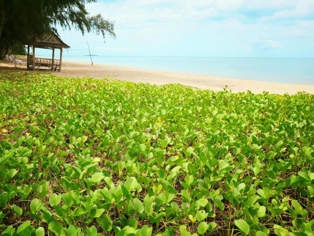 Bayview Beach Resort Ban Krut  Εξωτερικό φωτογραφία